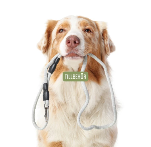 tillbehör för hundägare